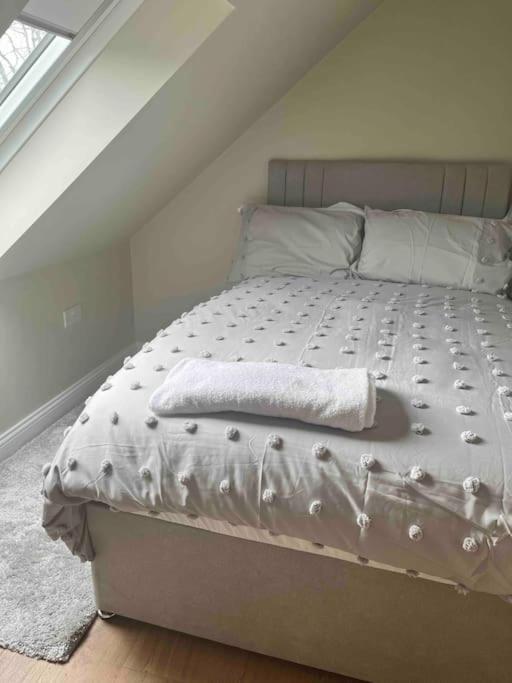 Mid Antrim Modern Apartment Newferry Bagian luar foto